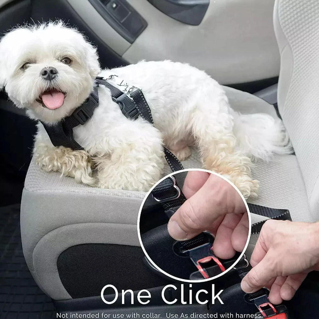 Car Dog Seat Cover