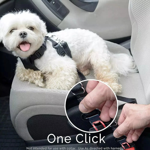 Car Dog Seat Cover